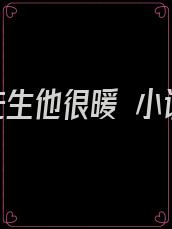 卫先生他很暖 小说